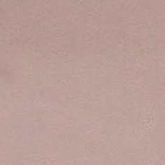 Tortoiseshell